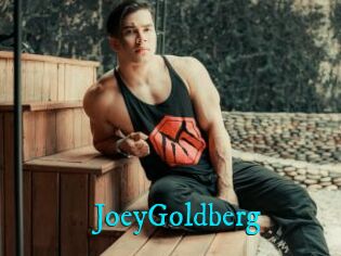 JoeyGoldberg