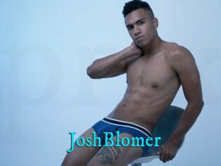 JoshBlomer