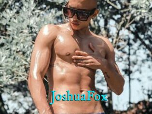 JoshuaFox