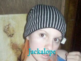 Jackalope