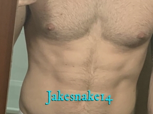 Jakesnake14
