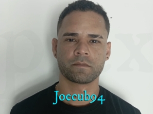 Joecub94