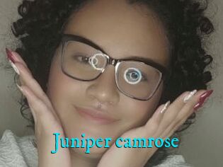 Juniper_camrose