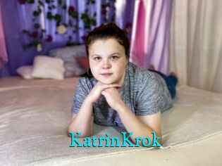 KatrinKrok