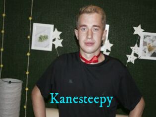 Kanesteepy