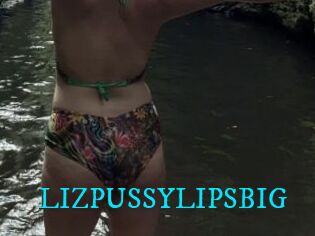 LIZPUSSYLIPSBIG