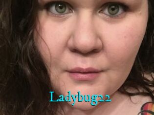 Ladybug22