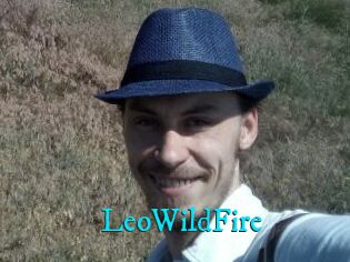 LeoWildFire