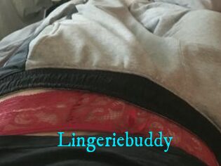 Lingeriebuddy