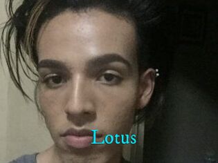 Lotus