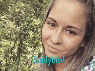 Ladybird