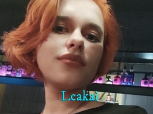 Leakai