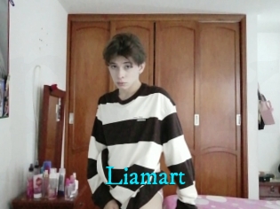 Liamart