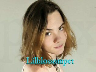 Lilblossompet