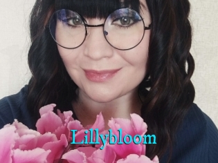 Lillybloom