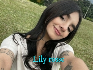 Lily_rosse