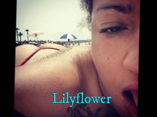 Lilyflower
