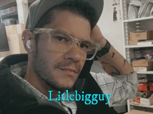 Litlebigguy
