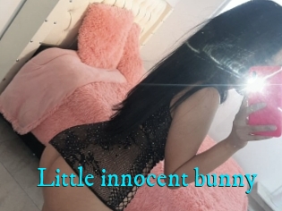 Little_innocent_bunny