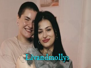 Livandmollys