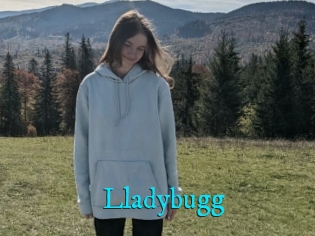 Lladybugg