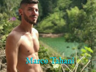 Marco_Tahani