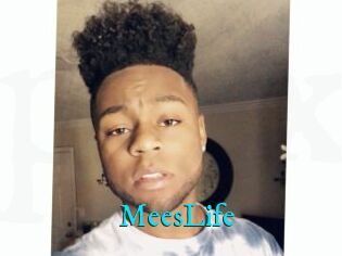 MeesLife