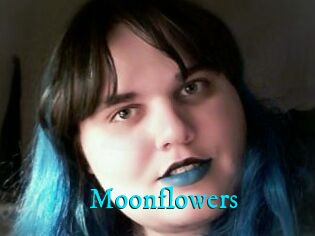 Moonflowers