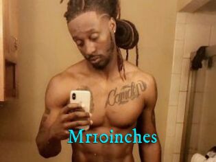 Mr10inches