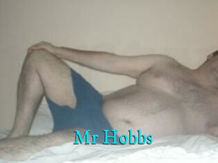 Mr_Hobbs