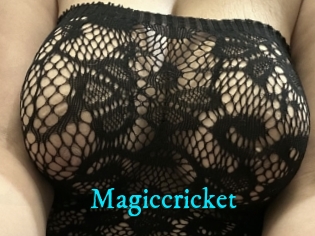 Magiccricket