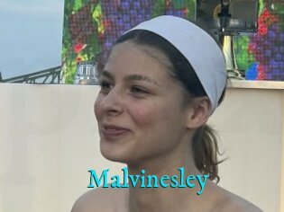 Malvinesley