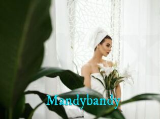 Mandybandy
