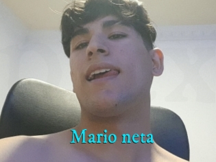 Mario_neta