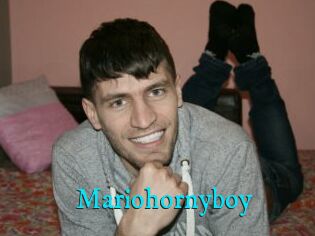 Mariohornyboy
