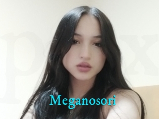 Meganosori