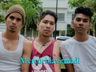 Mercuridavitmadi