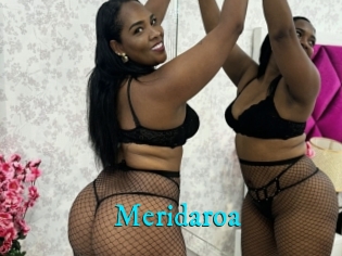 Meridaroa