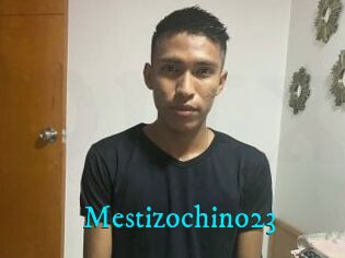 Mestizochino23