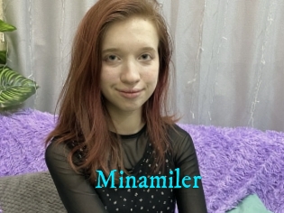Minamiler