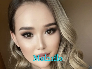 Mol21flo