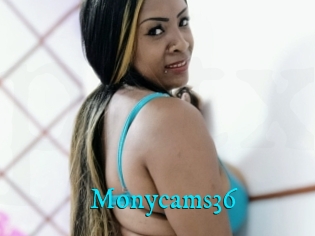 Monycams36