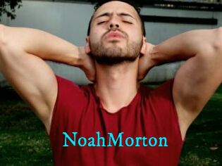 NoahMorton