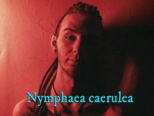 Nymphaea_caerulea