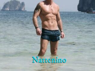 Nattenino