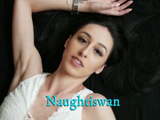 Naughtiswan