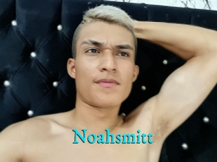 Noahsmitt