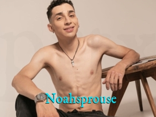 Noahsprouse