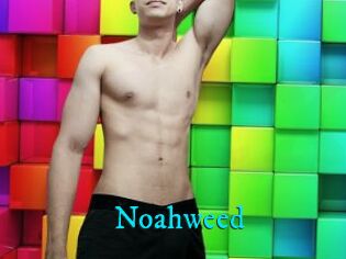 Noahweed