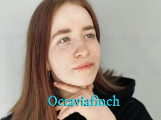Octaviafinch